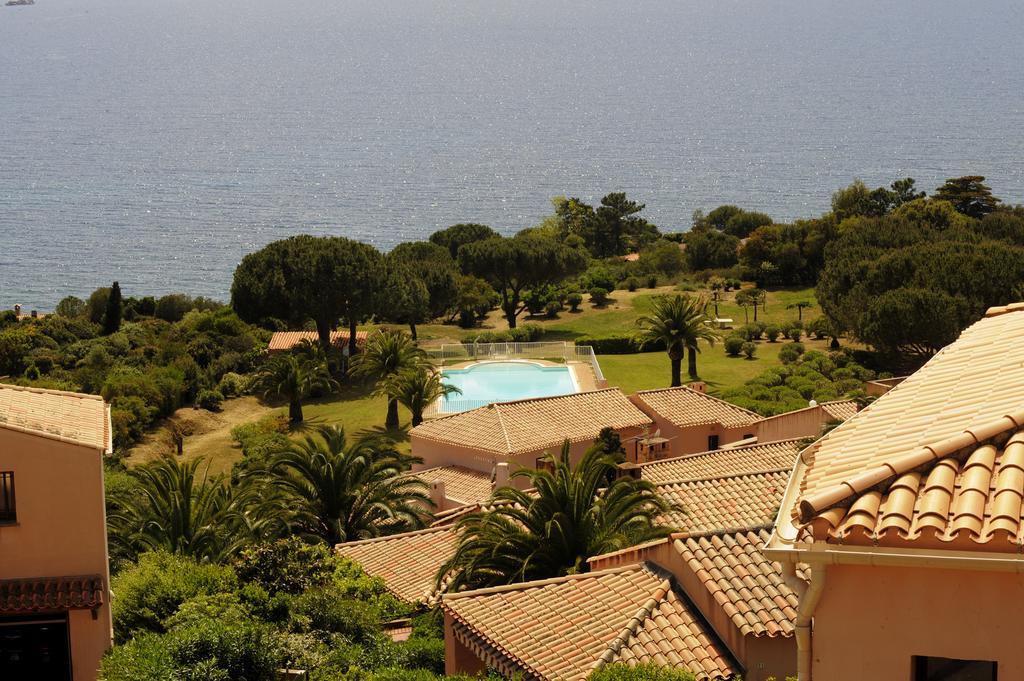 Suite Les Couchants Porticcio  Room photo