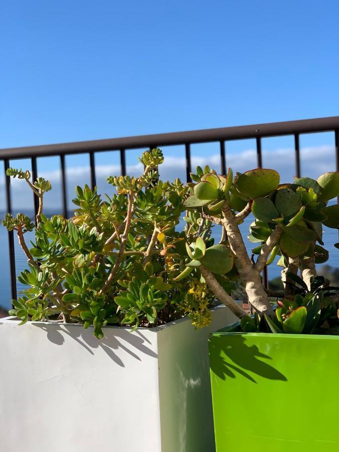 Suite Les Couchants Porticcio  Exterior photo